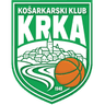 team logo