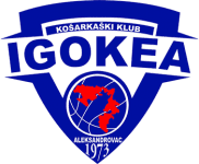 team logo
